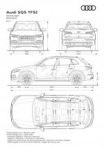 Audi SQ5 3.0 TFSI 2017 года (WW)